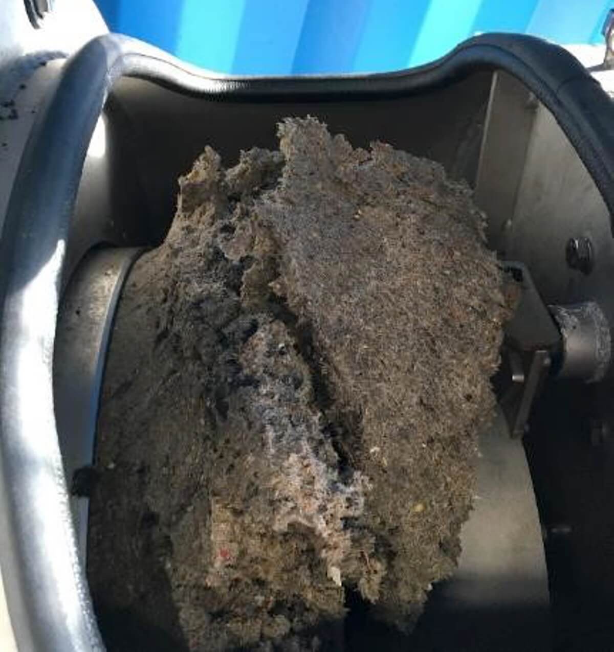 Fig. 5: Mechanically dewatered thin sludge from the HUBER Drum Screen LIQUID demo unit in a HUBER Screw Press Q-PRESS®