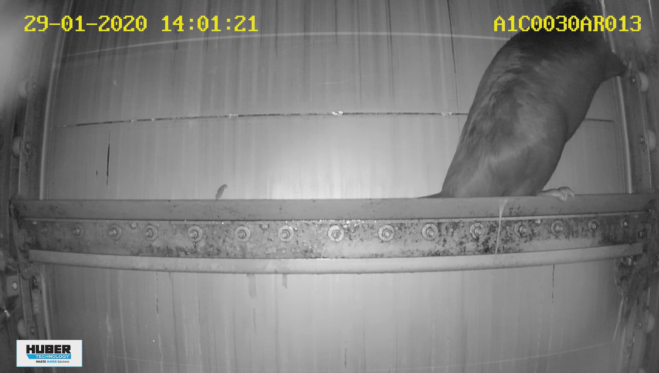 HUBER Detection System Safety Vision detects beaver in HUBER Multi-Rake Bar Screen RakeMax® and saves its life HUBER Detection System Safety Vision detects beaver in HUBER Multi-Rake Bar Screen RakeMax® and saves its life