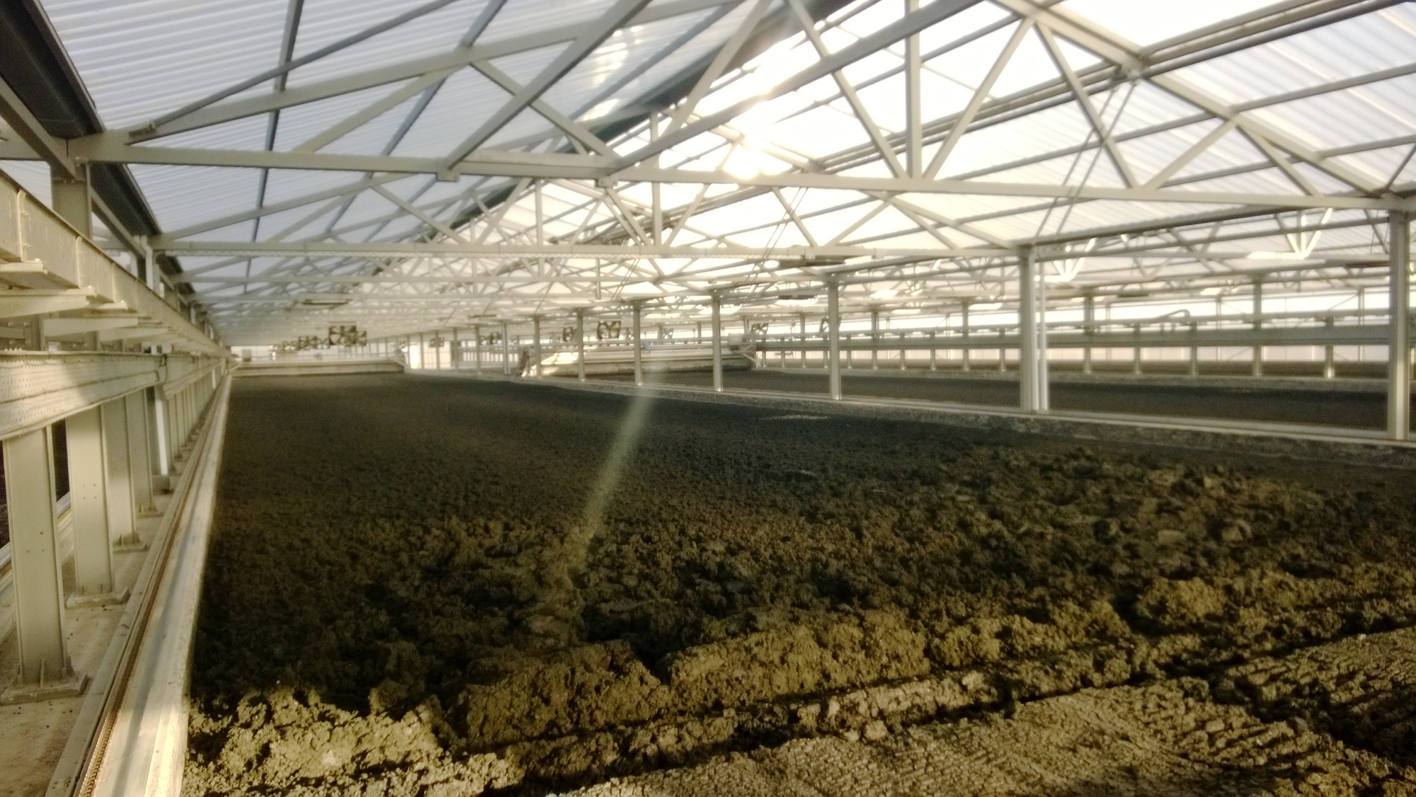 Eco-friendly reduction of disposal costs – sludge drying in a greenhouse Eco-friendly reduction of disposal costs – sludge drying in a greenhouse