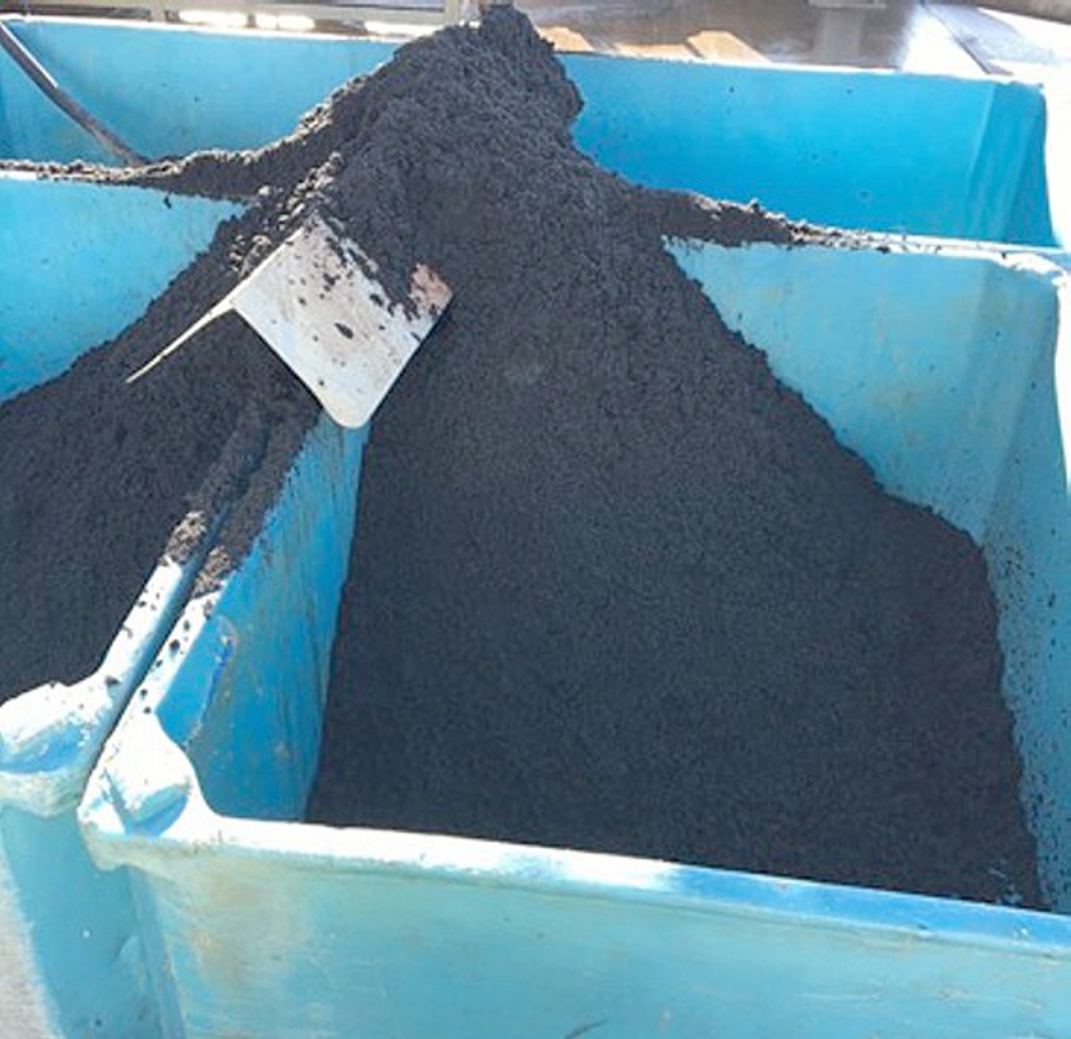 Figure 3 - Dewatered sludge cake Figure 3 - Dewatered sludge cake