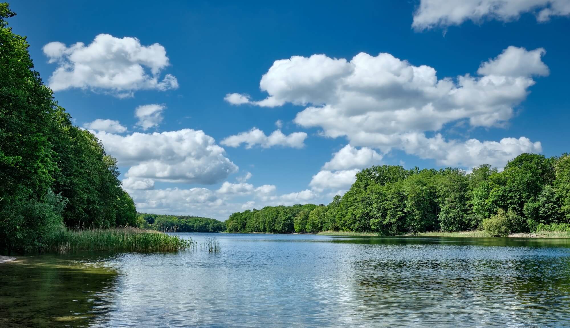 Webinar: Lösungen für regenerative Wärme aus Oberflächengewässern  Webinar: Lösungen für regenerative Wärme aus Oberflächengewässern