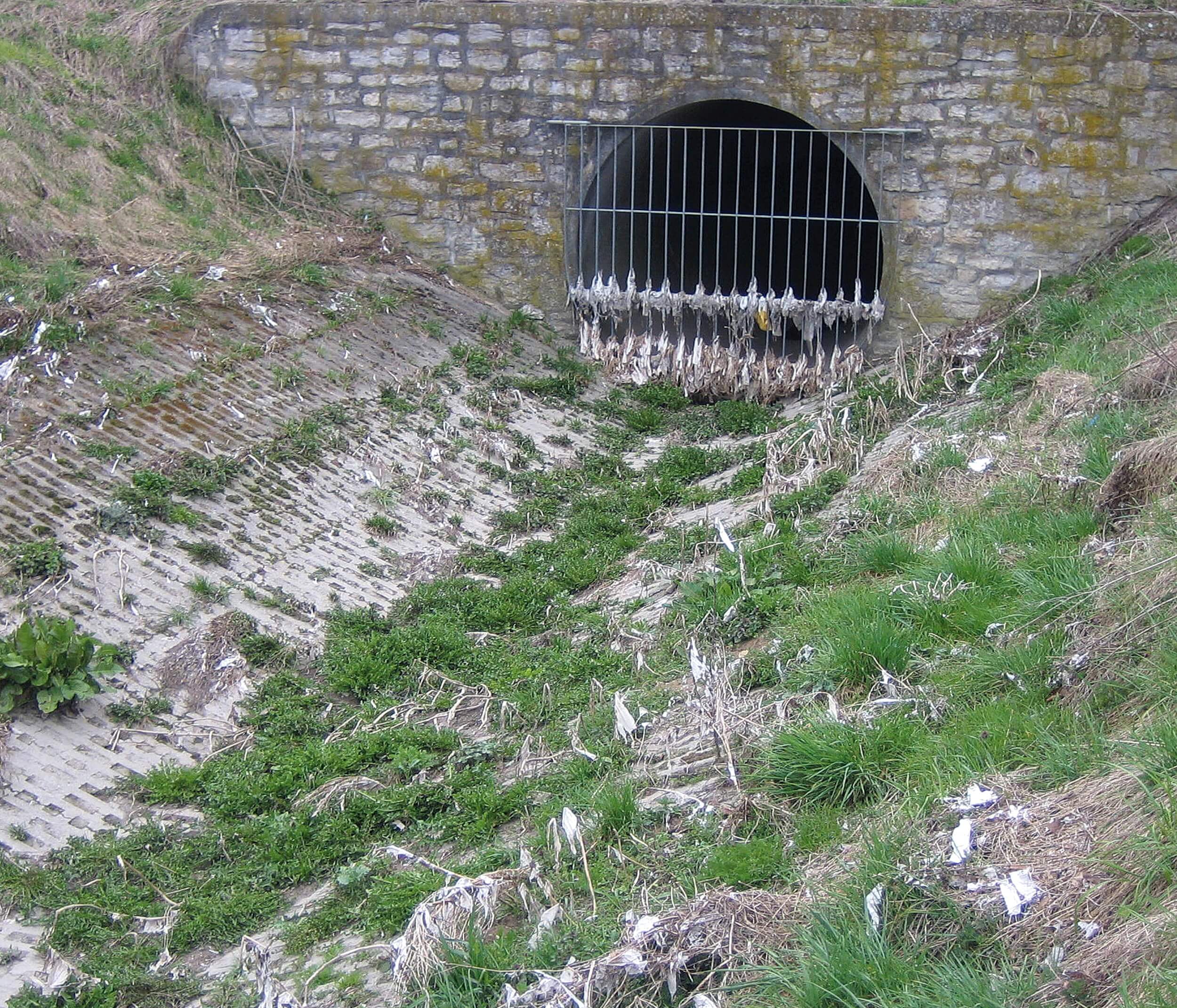 Unsightly matter discharged during storm events, typical for stormwater discharges without coarse material retention Unsightly matter discharged during storm events, typical for stormwater discharges without coarse material retention