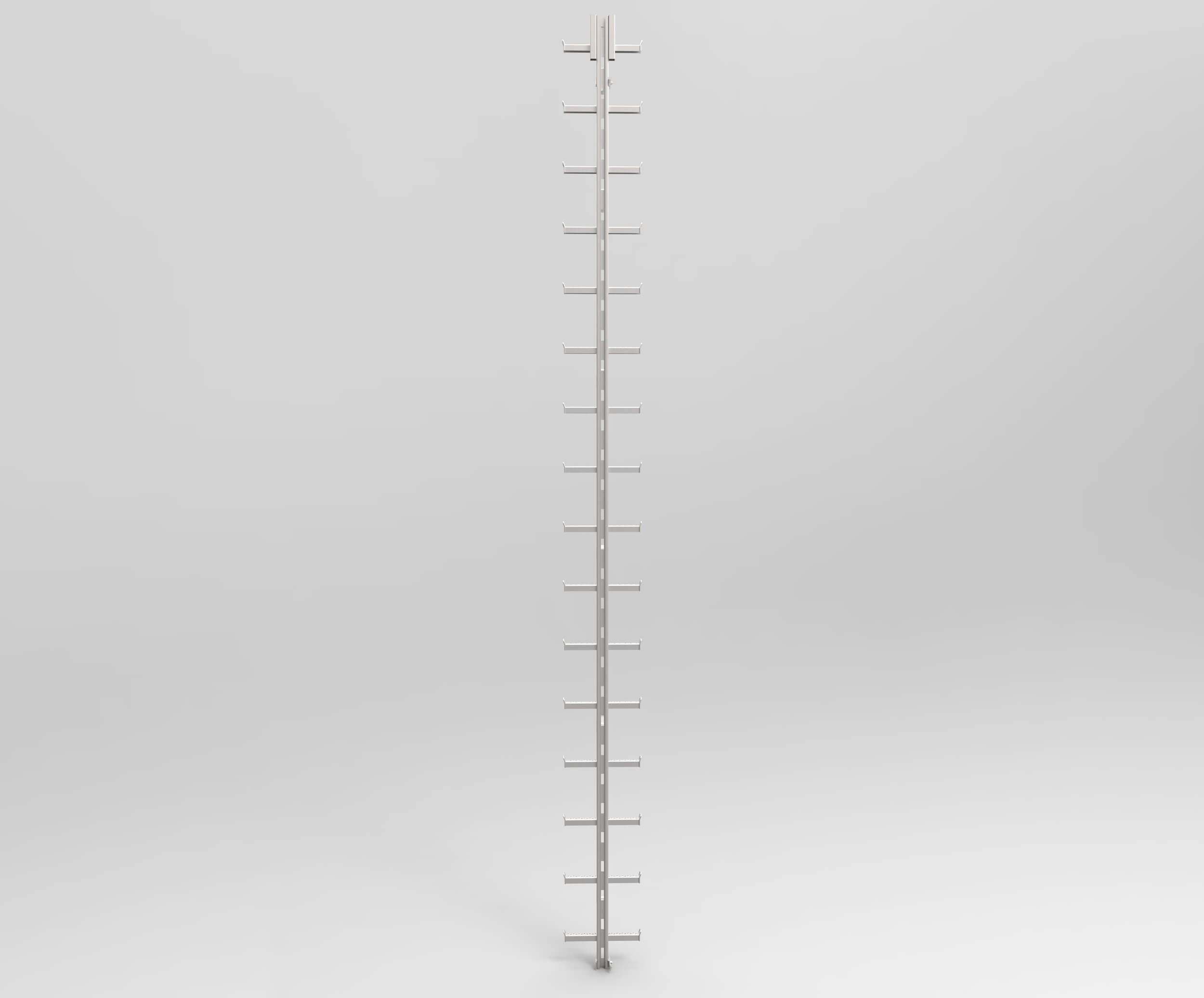 HUBER safety climbing device with integrated safety guard rail SiS3, exposed view HUBER safety climbing device with integrated safety guard rail SiS3, exposed view